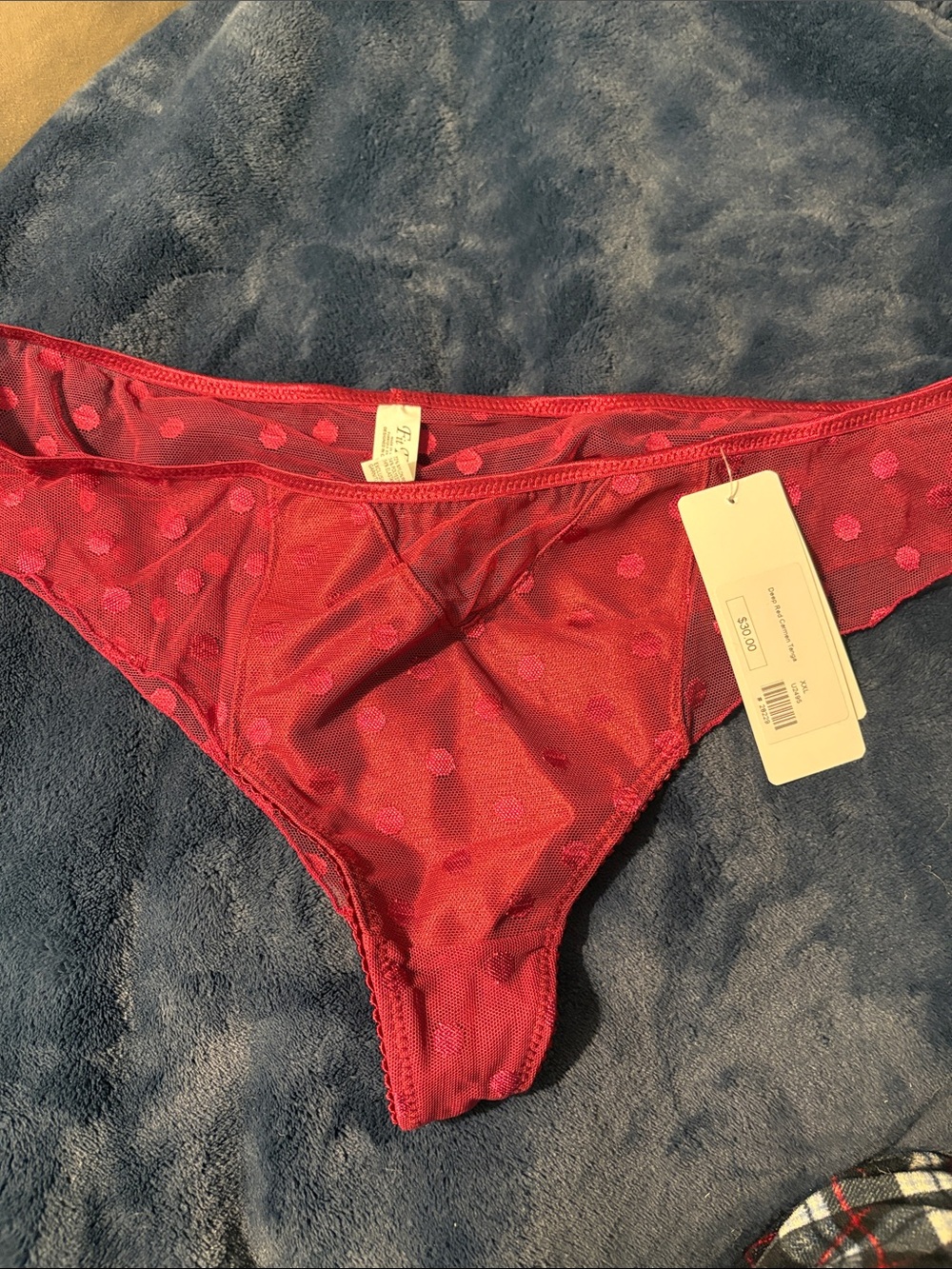 🔥 NWT Sheer Polka Dot Bikini Panty in Deep Red